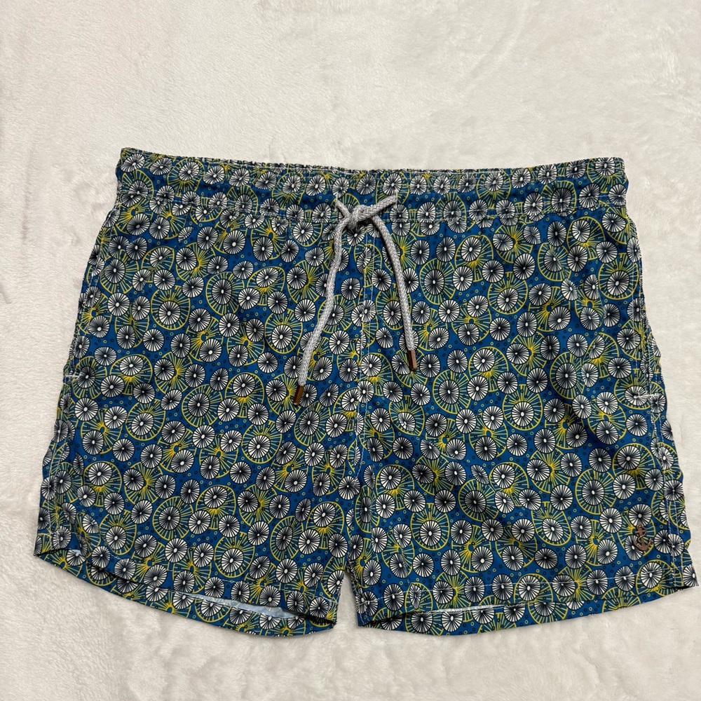 Retromarine New York Stylish Blue and Green Patterned Men's Swim Trunks